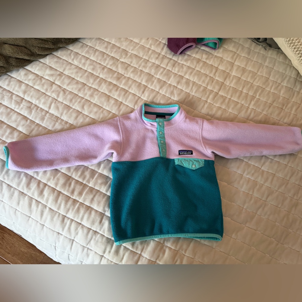 Patagonia synchilla snap pullover